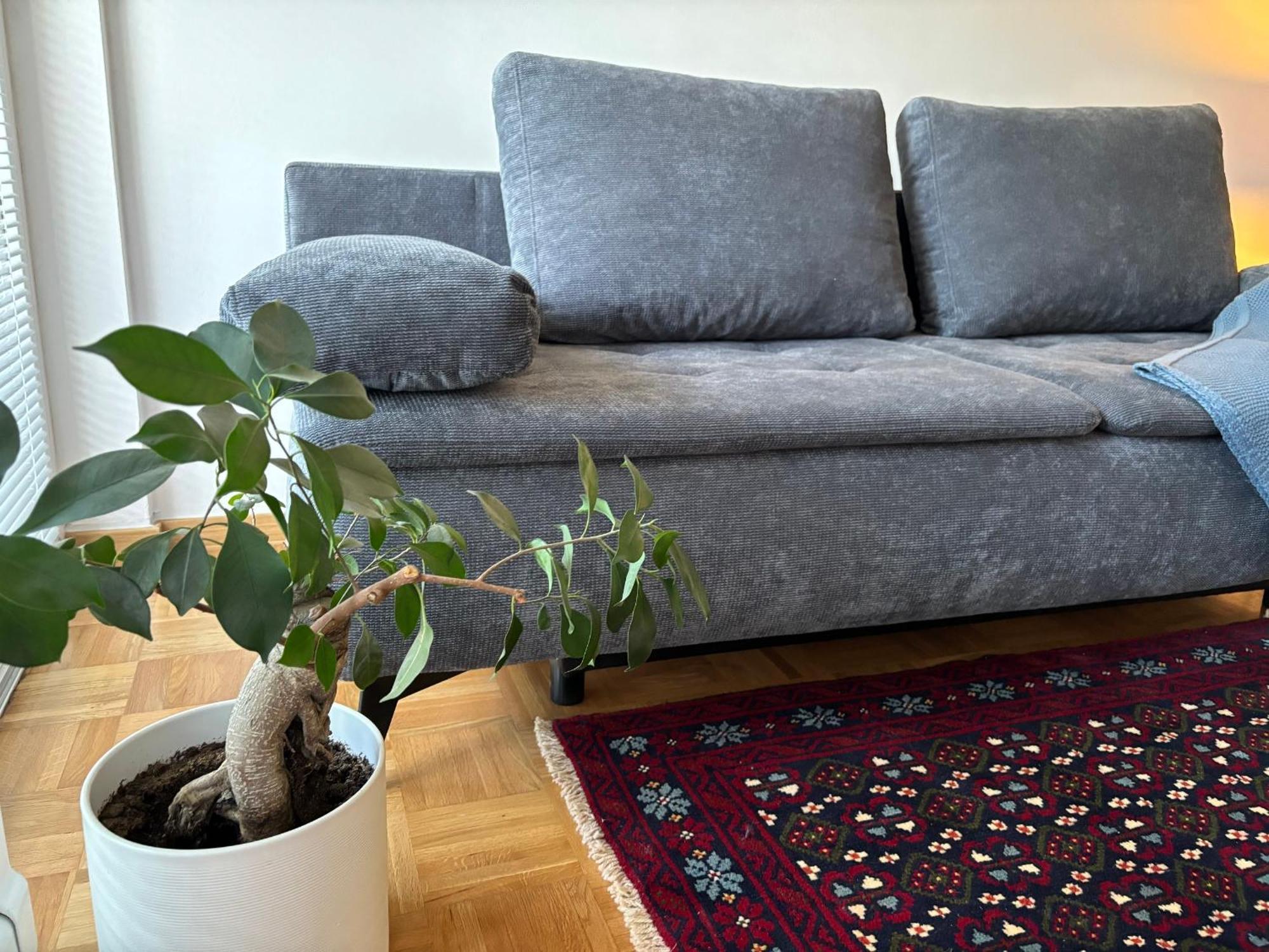 Ljubljanica Apartment Ljubljana Kültér fotó